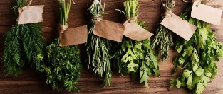 Herbs for potency