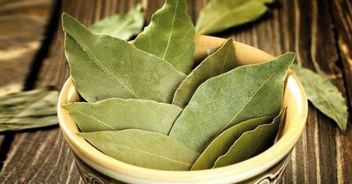 laurel leaves to increase strength