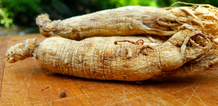 Root of Ginseng